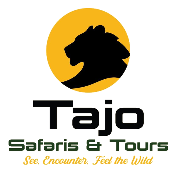 Tajo Safaris and Tours