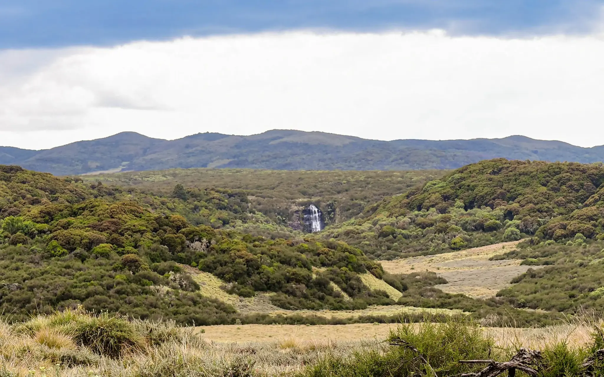 Aberdare — Mountain forest, bongo and elephant.