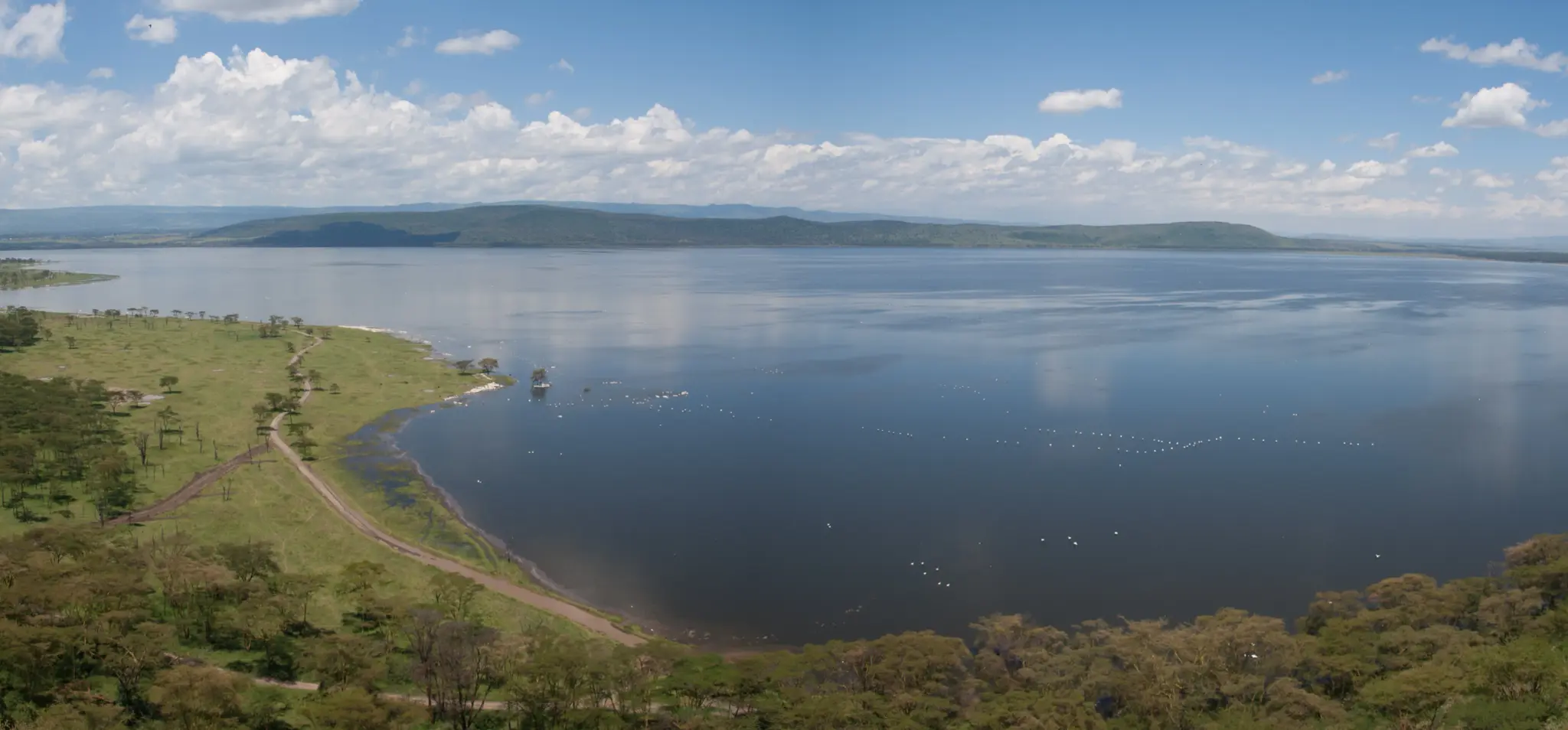 Lake Naivasha — Hippos, fish-eagles, boats at dawn.